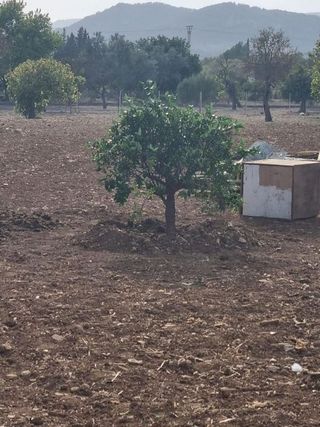 Casa rural en venta en Centro en Inca