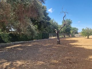 Casa rural en venta en Centro en Inca