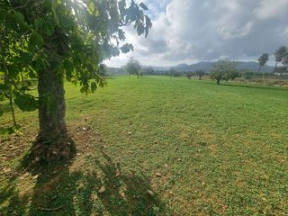 Casa rural en venta en Centro en Inca