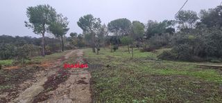 Solar en venta en Aguilar de la Frontera