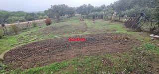 Solar en venta en Aguilar de la Frontera