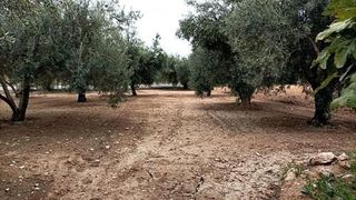 Chalet en venta en Los Girasoles en San Vicente del Raspeig/Sant Vicent del Raspeig