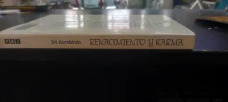 Renacimiento y Karma