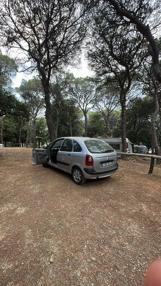 Citroen Xsara Picasso 1.8 Etiqueta B ZBE