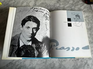 Picasso. Mediterráneo Picasso