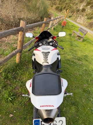 Honda CBR 600rr 2008 tricolor