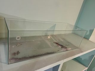 Acuario terrario grande