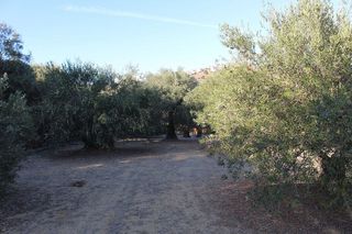 Terreno en venta en Coín