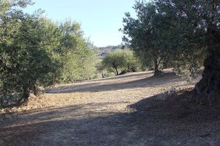 Terreno en venta en Coín