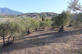 Terreno en venta en Coín