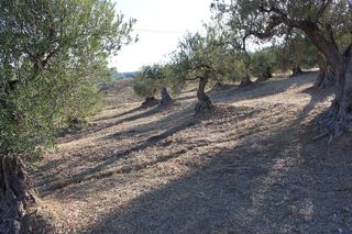 Terreno en venta en Coín