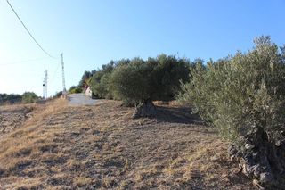 Terreno en venta en Coín