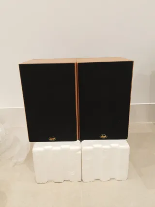 Altavoces Gale Marrones y Dorados