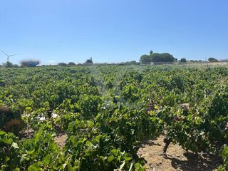Terreno en venta en Núcleo Urbano en Chiclana de la Frontera