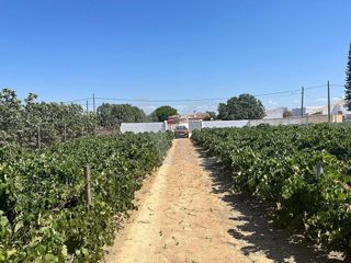 Terreno en venta en Núcleo Urbano en Chiclana de la Frontera
