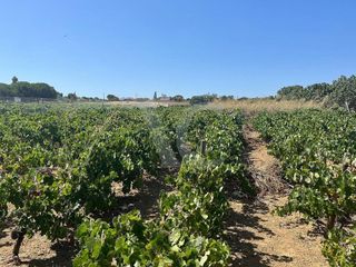 Terreno en venta en Núcleo Urbano en Chiclana de la Frontera