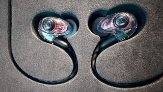 Westone AM PRO X10 Auriculares Músico