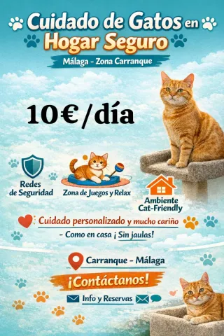 Cuidadora de gatos