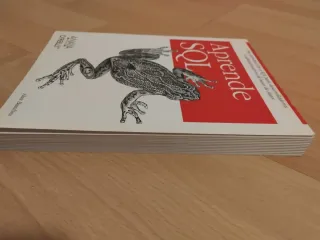 Aprende SQL/ Learning SQL (Spanish Edition)