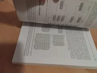 Aprende SQL/ Learning SQL (Spanish Edition)