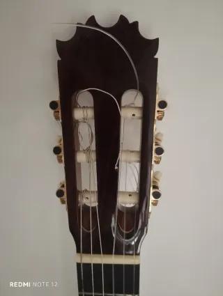 Guitarra Antonio de todelo tf17 amplificada