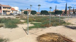 Terreno en venta en Alguazas