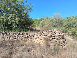 Solar en venta en Alcora, l´