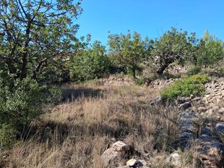 Solar en venta en Alcora, l´