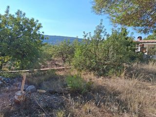 Solar en venta en Alcora, l´