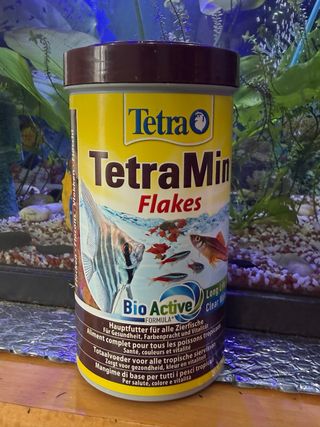 Acuario completo con filtros y calentador