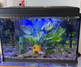Acuario completo con filtros y calentador