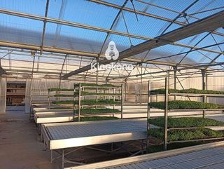 Terreno en alquiler en Perlita en Arganda del Rey