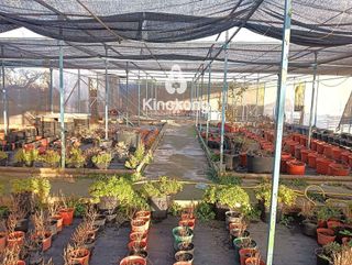 Terreno en alquiler en Perlita en Arganda del Rey