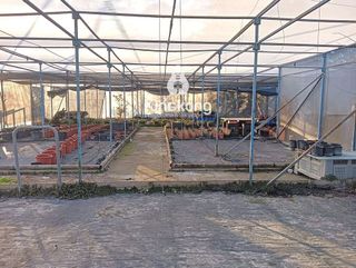 Terreno en alquiler en Perlita en Arganda del Rey