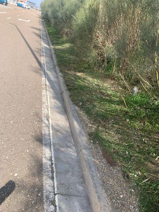 Jardinero limpieza de jardín y podar árboles