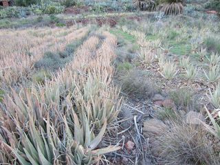 Terreno en venta en Santa Lucía Pueblo en Santa Lucía de Tirajana