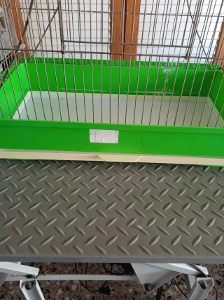 Jaula para pájaros Carolina o similar el techo se