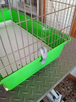 Jaula para pájaros Carolina o similar el techo se