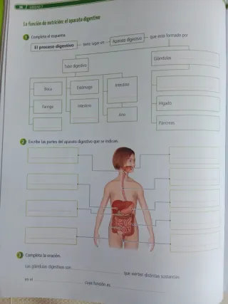 Proyecto: La leyenda del Legado. Ciencias de la...