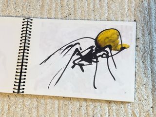 Libro Funambul-ismos - Edición Limitada