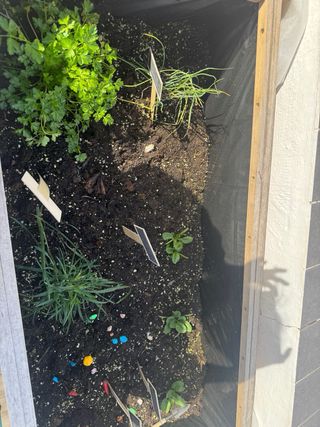 Huerto Urbano de Madera