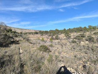 Solar en venta en Sax