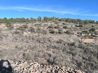 Solar en venta en Sax