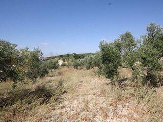 Terreno en venta en Norte en Jerez de la Frontera