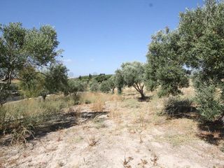 Terreno en venta en Norte en Jerez de la Frontera