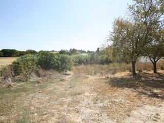 Terreno en venta en Norte en Jerez de la Frontera