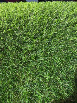 Cesped artificial