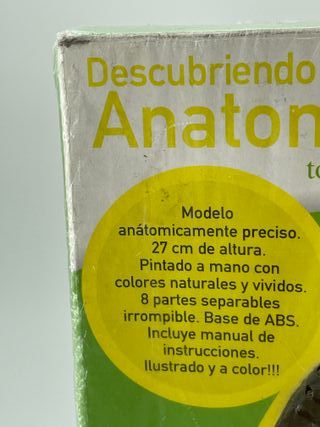 Modelo Anatomía Torso Humano Discovery Channel