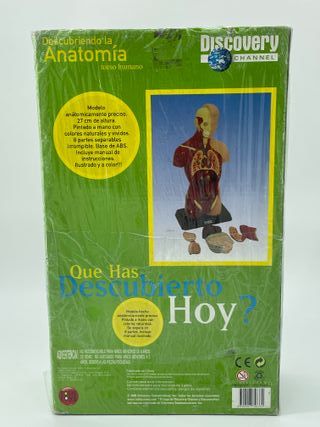 Modelo Anatomía Torso Humano Discovery Channel