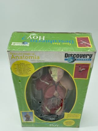 Modelo Anatomía Torso Humano Discovery Channel